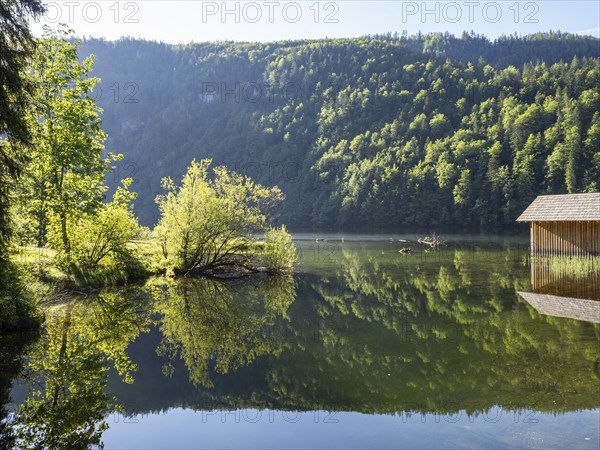 Morning atmosphere, reflection, Toplitzsee, Salzkammergut, Styria, Austria, Europe