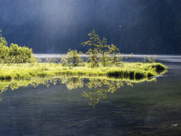 Morning atmosphere, reflection, Toplitzsee, Salzkammergut, Styria, Austria, Europe