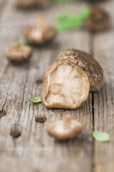 Raw Shiitake mushrooms as high detailed close-up shot on a vintage wooden table, selective focus
