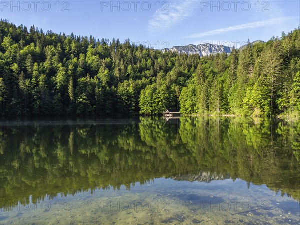 Morning atmosphere, reflection, boathouse at the Toplitzsee, Salzkammergut, Styria, Austria, Europe