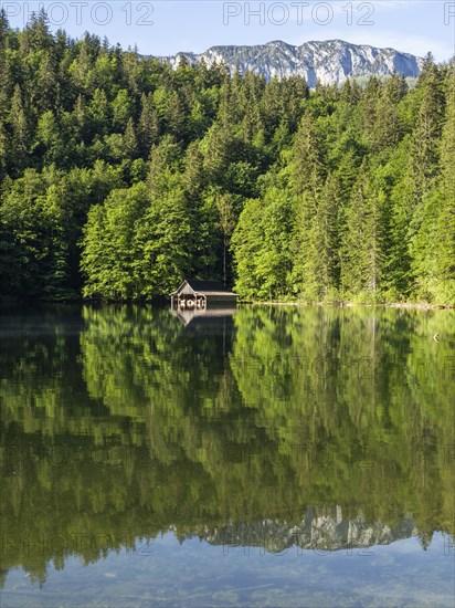 Morning atmosphere, reflection, boathouse at the Toplitzsee, Salzkammergut, Styria, Austria, Europe
