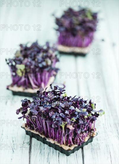 Portion of homemade Cress on wooden background (selective focus, close-up shot)