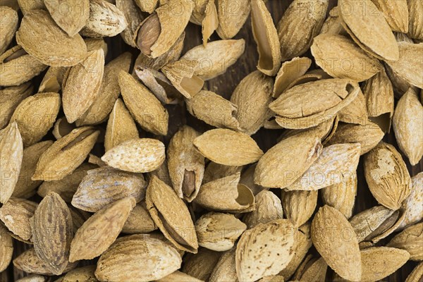 Roasted Almonds (in shell) as full size background image (selective focus)