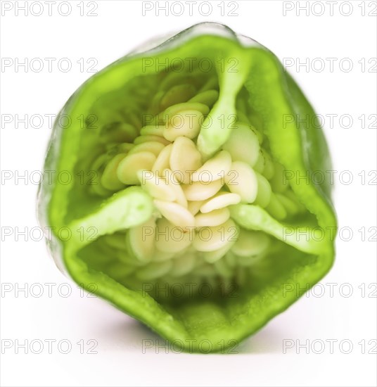 Raw Pimientos isolated on white background, selective focus, close-up shot