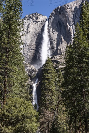 Yosemite Falls (upper and lower), California, USA, North America