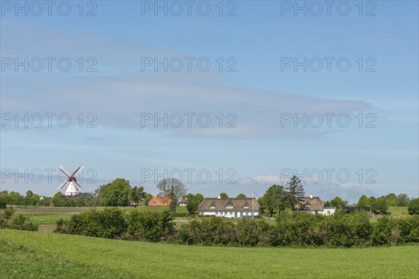 Dybbol Molle, Düppel Mill, German-Danish War Memorial 1864, thatched house, landscape, hilly