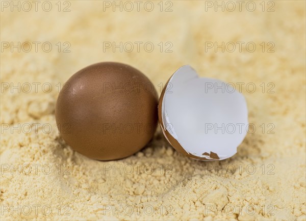Powdered Eggs (fresh) as detailed close-up shot, selective focus)