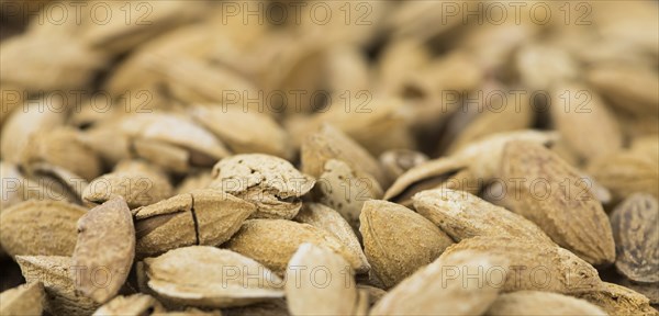 Roasted Almonds (in shell) as full size background image (selective focus)