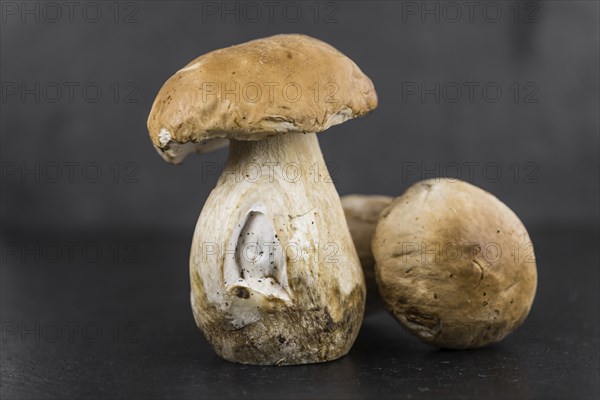 Porcinis on a vintage background (close-up shot, selective focus)