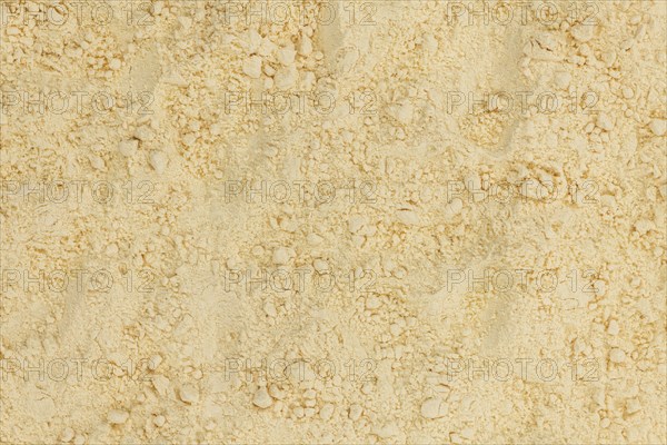 Fresh Whole Powdered Eggs as detailed close-up shot (selective focus)