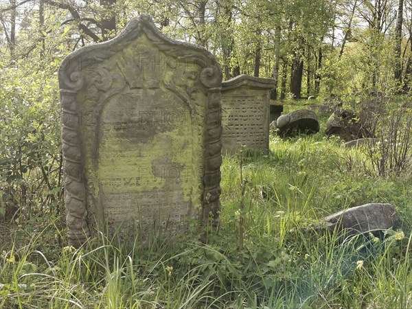 Levite graves at the Jewish cemetery, Jewish cemetery Burgkunstadt, one of the largest Jewish