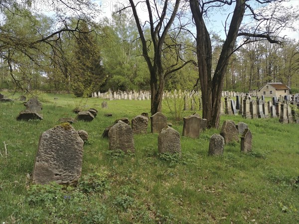 Jewish cemetery, Jewish cemetery Burgkunstadt, one of the largest Jewish country cemeteries in