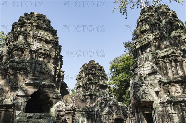 The famous Ta Prohm temple in Angkor Wat, Cambodia, Asia