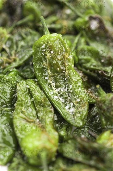 Portion of fresh Pimientos de Padron close-up shot, selective focus