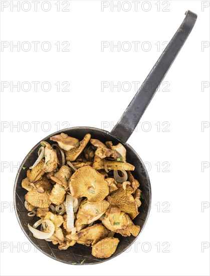 Fresh made Fried Chanterelles isolated on white background, close-up shot