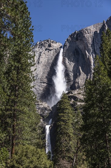 Yosemite Falls (upper and lower), California, USA, North America