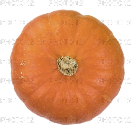 Portion of fesh Pumpkin (close-up shot) isolated on a white background