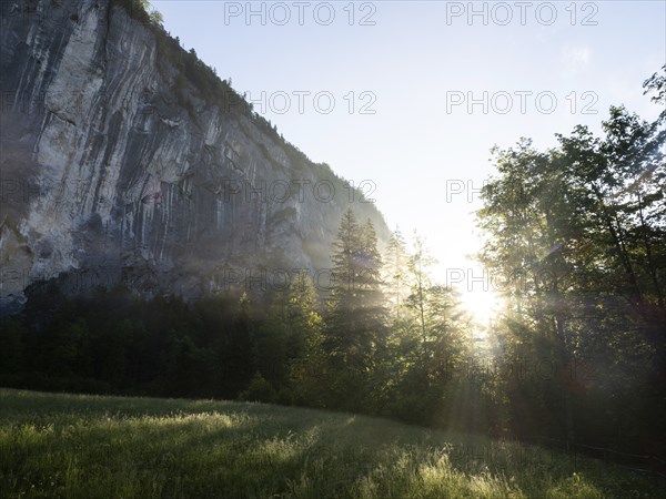 Morning atmosphere at sunrise, early morning fog over a meadow, behind the Gössler Wand, Gössl,