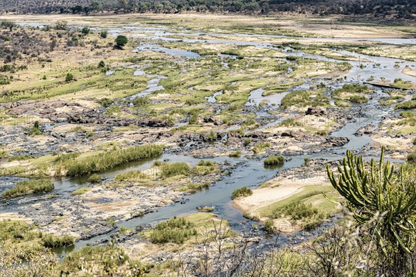 Limpopo (Olifants River) in Kruger National Park, South Africa, Africa