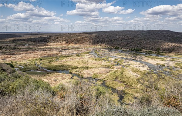 Limpopo (Olifants River) in Kruger National Park, South Africa, Africa