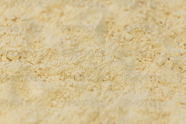 Powdered Eggs (fresh) as detailed close-up shot, selective focus)