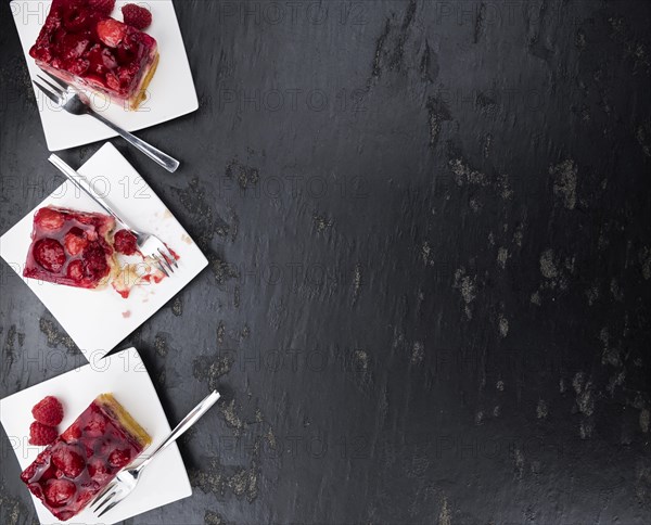 Fresh homemade Raspberry Cake (selective focus, close-up shot)