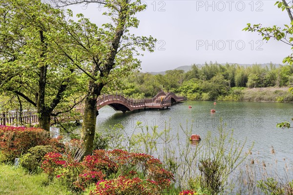 A scenic view of a lake with a red wooden bridge and lush greenery, in Suncheon, South Korea, Asia