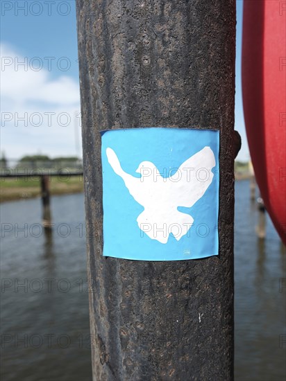 Sticker with dove as a symbol of peace, vintage, blurred background, Bremen, Germany, Europe