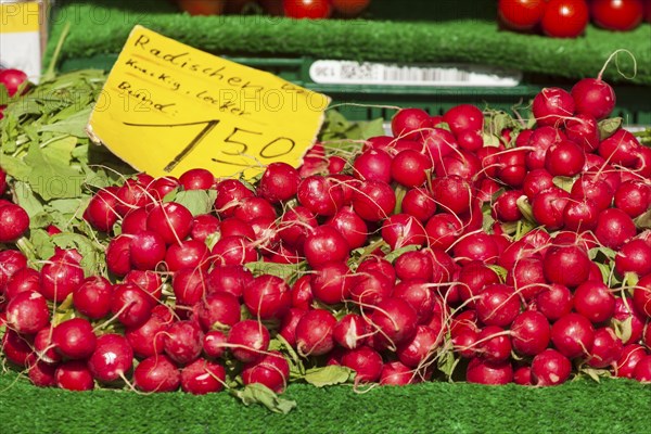 Fresh radishes with price tag on a market stall, Bremen, Germany, Europe