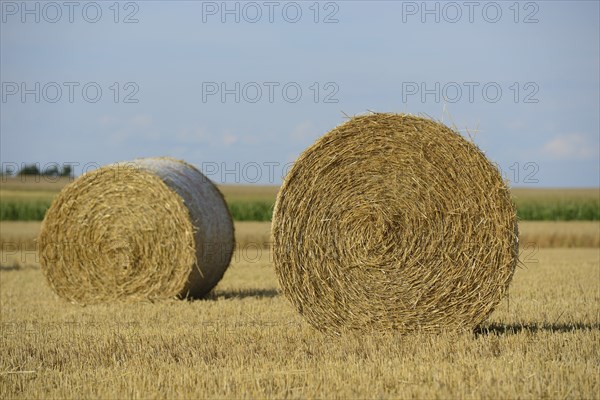Close-up of two hay bales on a dry, harvested field, Upper Palatinate