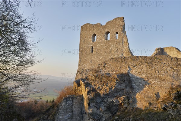 Mighty castle ruins on a hill in the evening sun, surrounded by landscape and trees, Wolfstein