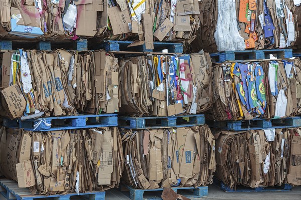 Crushed cardboard boxes bundled on pallets for recycling
