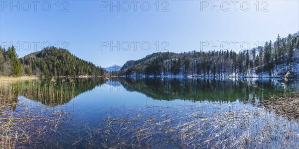 Alatsee, Ostallgäu, Allgäu, Swabia, Bavaria, Germany, Europe