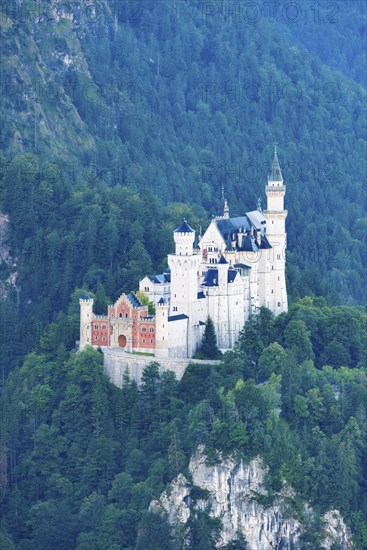 Neuschwanstein Castle near Hohenschwangau, Romantic Road, Ostallgäu, Bavaria, Germany, Europe