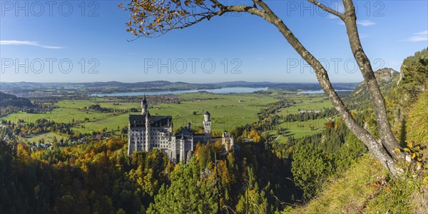 Neuschwanstein Castle near Hohenschwangau, Romantic Road, Ostallgäu, Bavaria, Germany, Europe