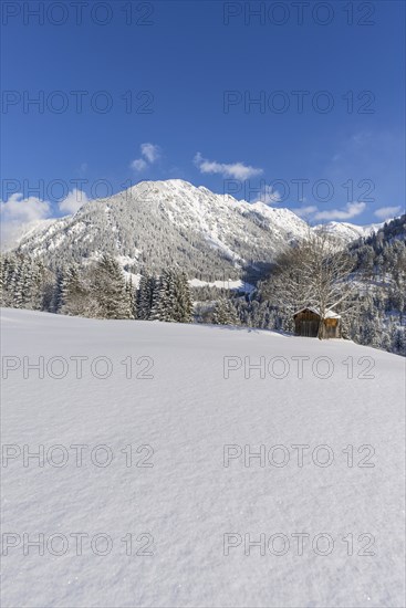 Snowy landscape, behind it Schattenberg, 1845m, Oberallgaeu, Allgaeu, Bavaria, Germany, Europe