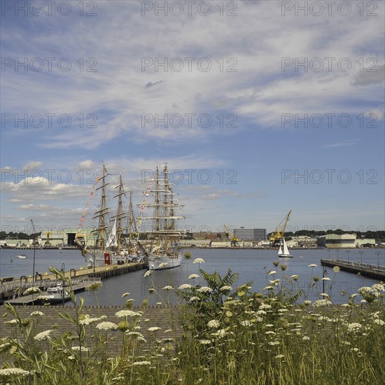 The United States Coast Guard tall ship Eagle and the Brazilian Navy tall ship Cisne Branco, which