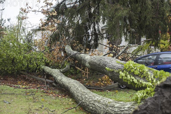 Chappaqua, NY, USA 30 Oct 2012: Scene of damage the day after Hurricane force winds from Hurricane
