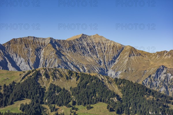 Mountain landscape with wooded slopes and clear peaks under a blue sky, saas Fee, Alps,