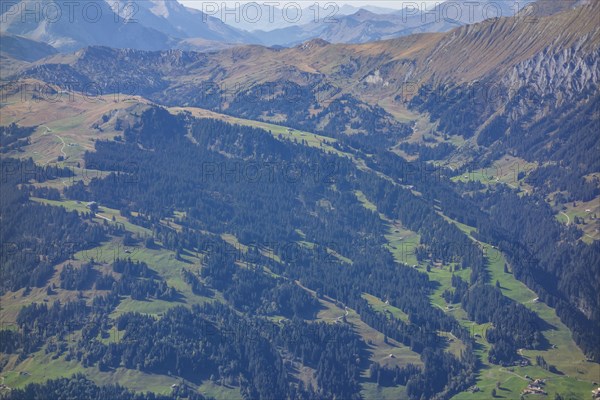 Extensive mountainous landscape with dense forests, green meadows and clear views, Grisons,