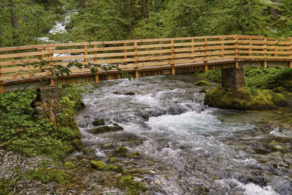 Wooden bridge over a rushing river in the forest, surrounded by lush vegetation, Gosau, Austria,