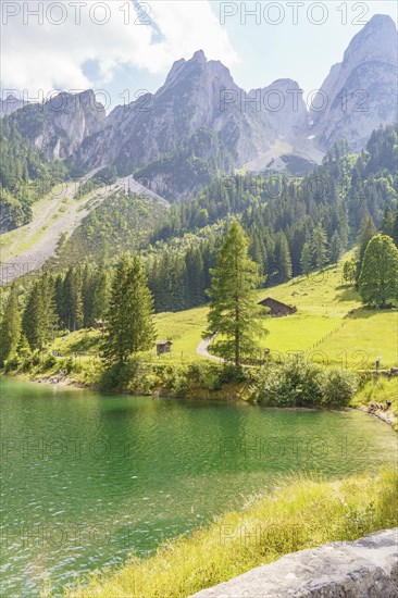 A tranquil lake in an idyllic mountain landscape, surrounded by meadows and forests under a clear