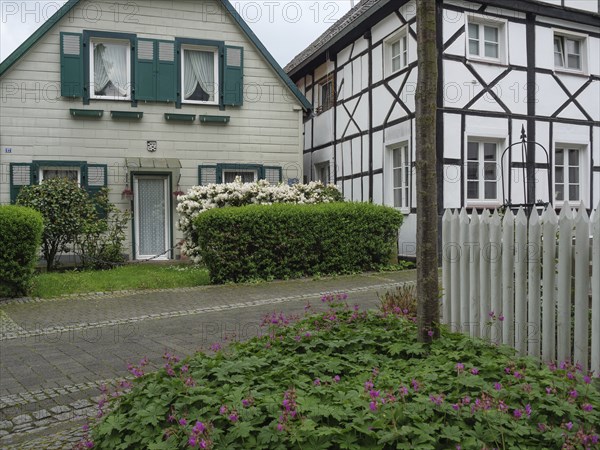 Quiet street with half-timbered houses and well-tended front gardens full of green bushes and pink