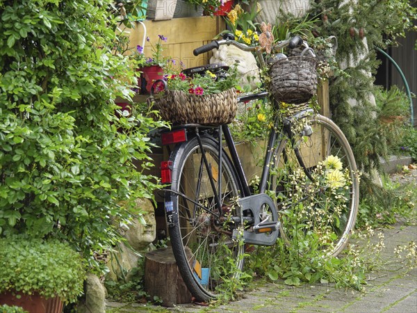 Bicycle decorated with flowers and plants to create a rustic garden atmosphere, Westerholt, Herten