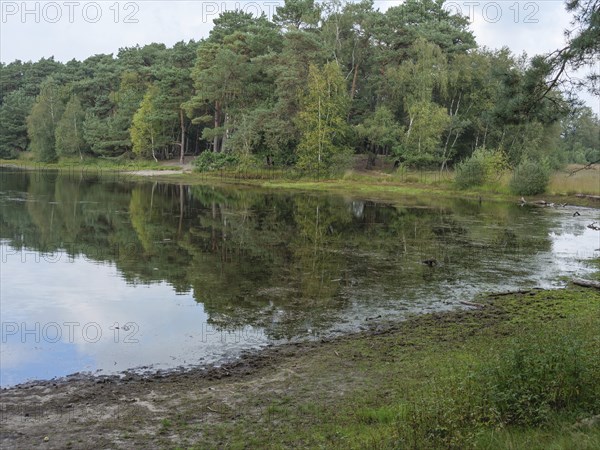 A lake with a calm water surface surrounded by a dense forest and green meadow, haaksbergen, .