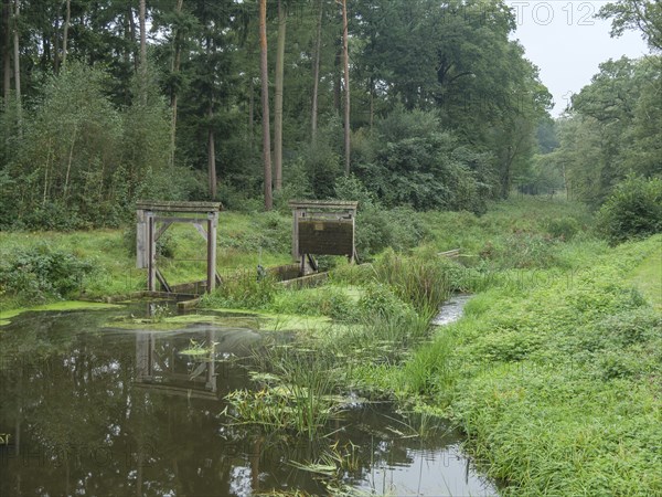 A quiet river with a small wooden bridge, surrounded by a dense green forest, haaksbergen, .