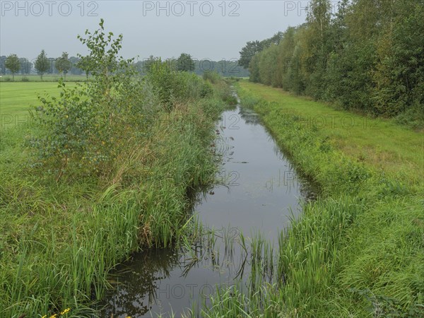 A small river flows quietly through a green landscape with dense vegetation and trees, haaksbergen,