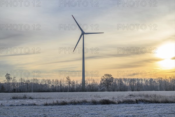 A large wind turbine stands on a snow-covered field at sunset, surrounded by bare trees, Velen,