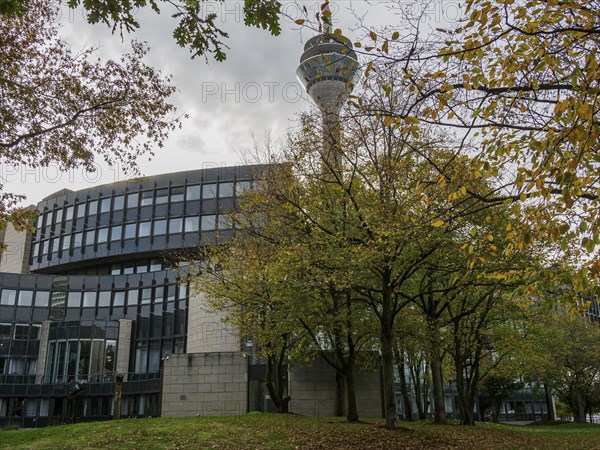 Modern architecture of a building and the television tower, surrounded by autumnal trees and a