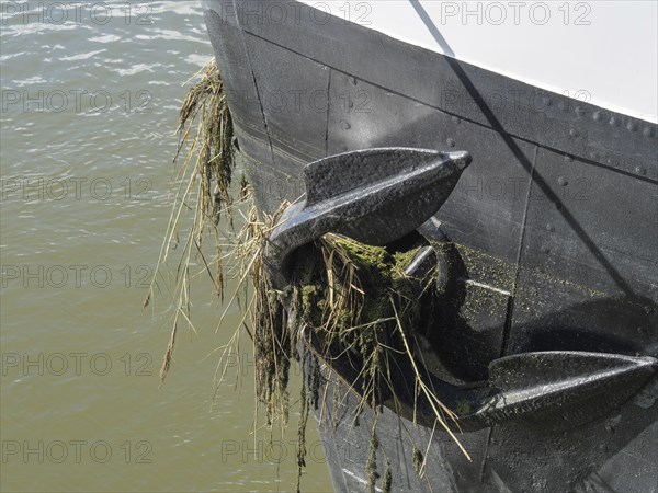 Close-up of a boat anchor covered with seaweed and algae in the water, Doesburg, Netherlands